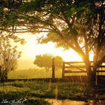 The Afternoon Rain II by IsacGoulart