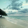 Quiet My Soul III