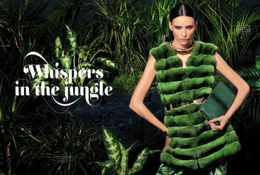 Whispers in the jungle , Infur magazine