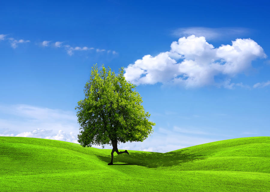 running tree by charliemonster on DeviantArt