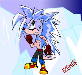 Blizzard the hedgehog