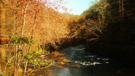 The tracks by the river