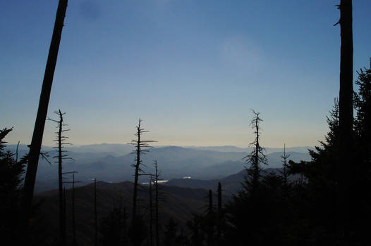 Smokies