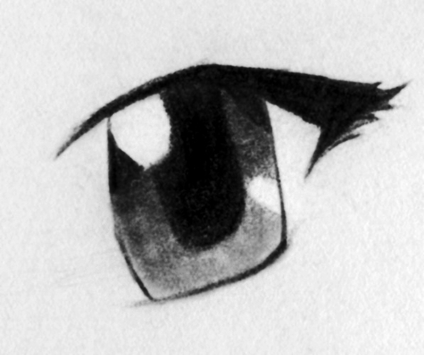 Eye