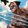 Wolverine Hulk Blaze Colored
