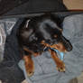 In The Clean Clothes Bag