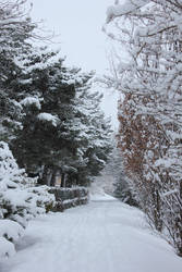 winter pathway