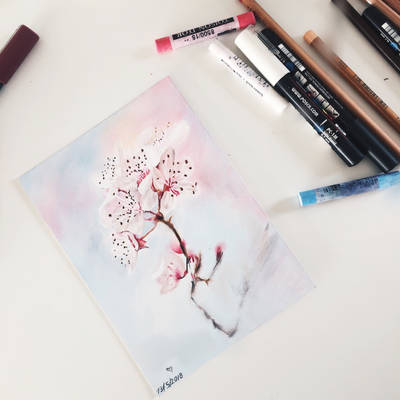 sakura flower