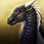 Wings of Fire: Raven