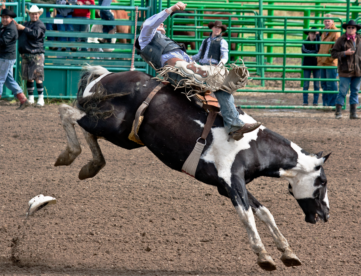 WhitecourtRodeo_1