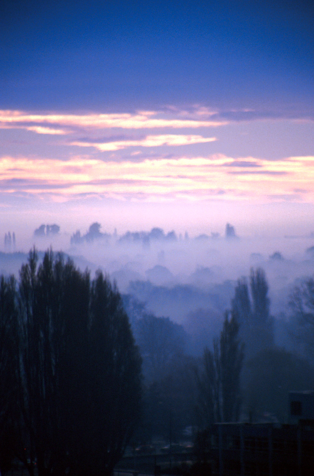 Christchurch Dawn