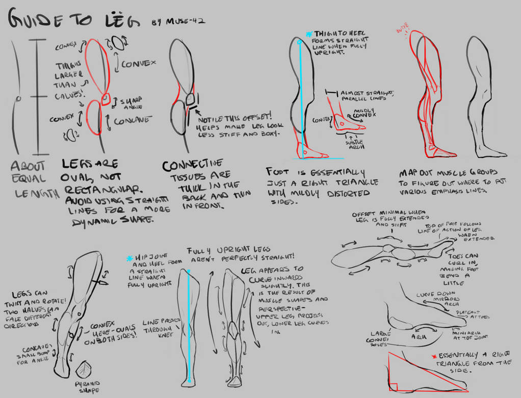 Leg Turorial quick leg tutorial by MUSE-42 on DeviantArt