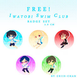 Iwatobi swim Club BadgeSET