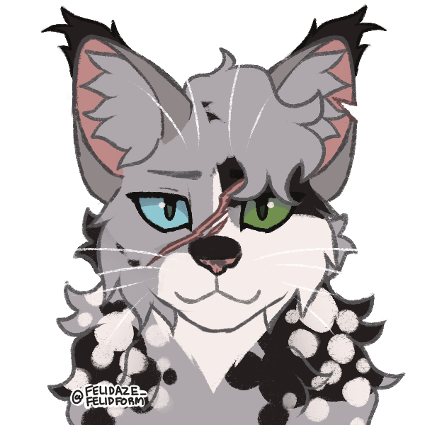Top 20 fav Warrior cats and why! by MagnoliaTheWolf369 on DeviantArt