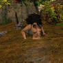 Sheila Sinks In Quicksand!