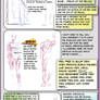 Tutorial- Some Anatomy Tips...