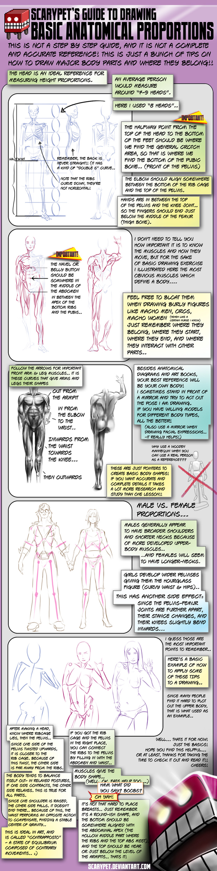 Tutorial- Some Anatomy Tips...