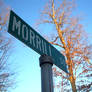 Morrill St.