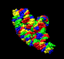 Rybozyme-Intron 4p95