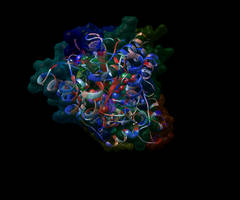 DNA PHOTOLYASE Molecular apng