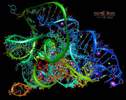 3IGI Group II Intron Molecular Rollercoaster