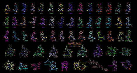 Chromophores Bioluminescent Ligands Molecular 