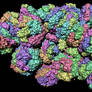 Surface of Phycobilisome 5Y6P Blender 4.5