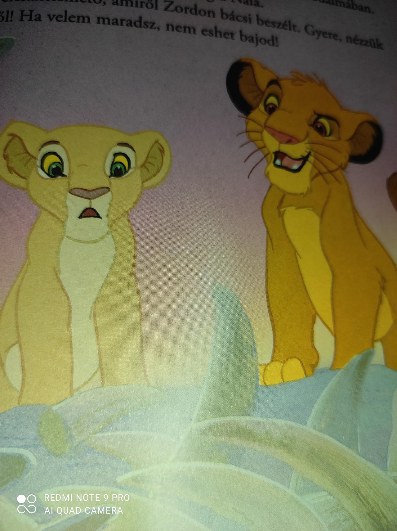 Simba and nala by spongetailsfan01010 on DeviantArt