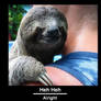 Quagmire Sloth
