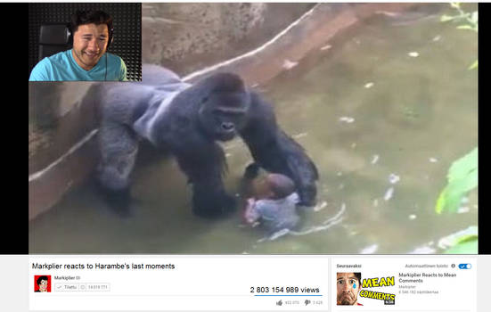 Markiplier reacts to Harambe's last moments