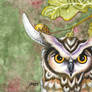 Horned Owl