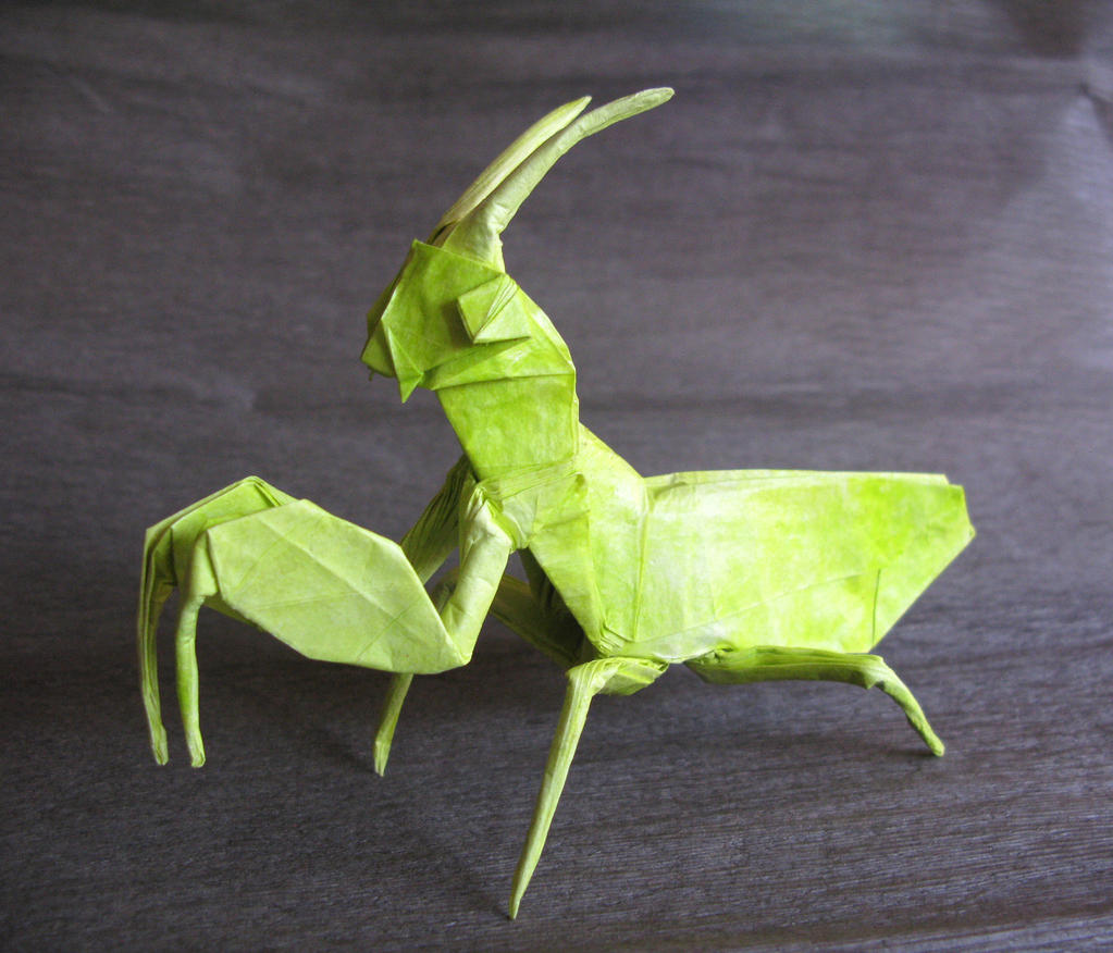 Mantis