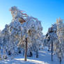 Aavasaksa, Ylitornio, Lapland, Finland.