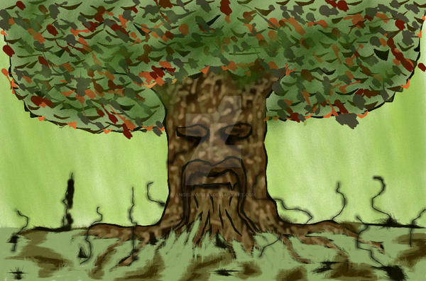 Tree Death Note Deku Tree by Angelnoire95 on DeviantArt