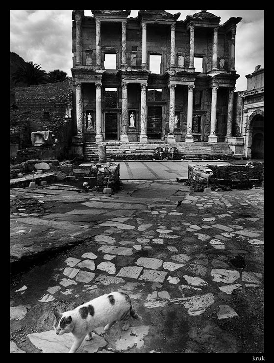 The Ephesus Cat