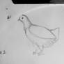 Chicken Sketch - Bad