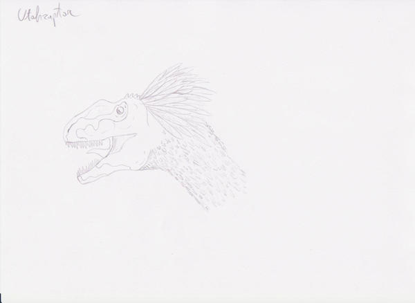 Utah Rapter Head Utahraptor_head by PrimevalMaster on DeviantArt