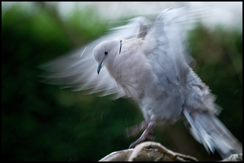 In flight