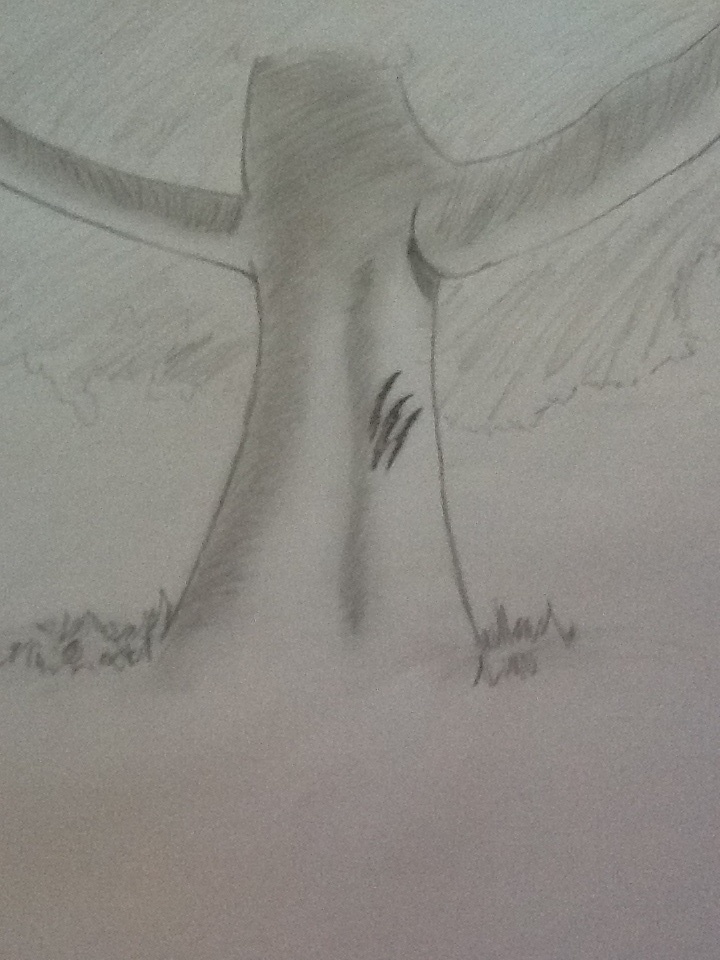 Tree Scratch by TheOfficialEmeraldee on DeviantArt