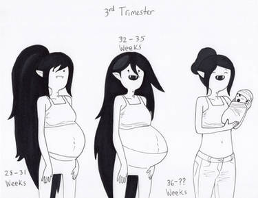 Pregnancy Chart 3