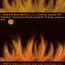 SAI Fire - Tutorial