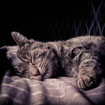 Sleeping Angel by TaNa-Jo