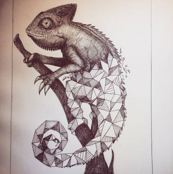 Geometric chameleon 