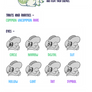 Faemith Species Traits