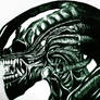 Xenomorph