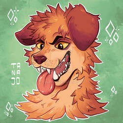 Brown Furry Dog Portrait Adoptable