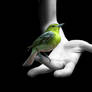 Free Spirit