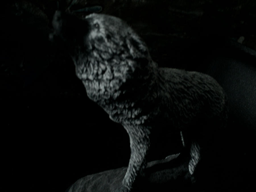 Wolf Leader by EmoKaoruChan on DeviantArt