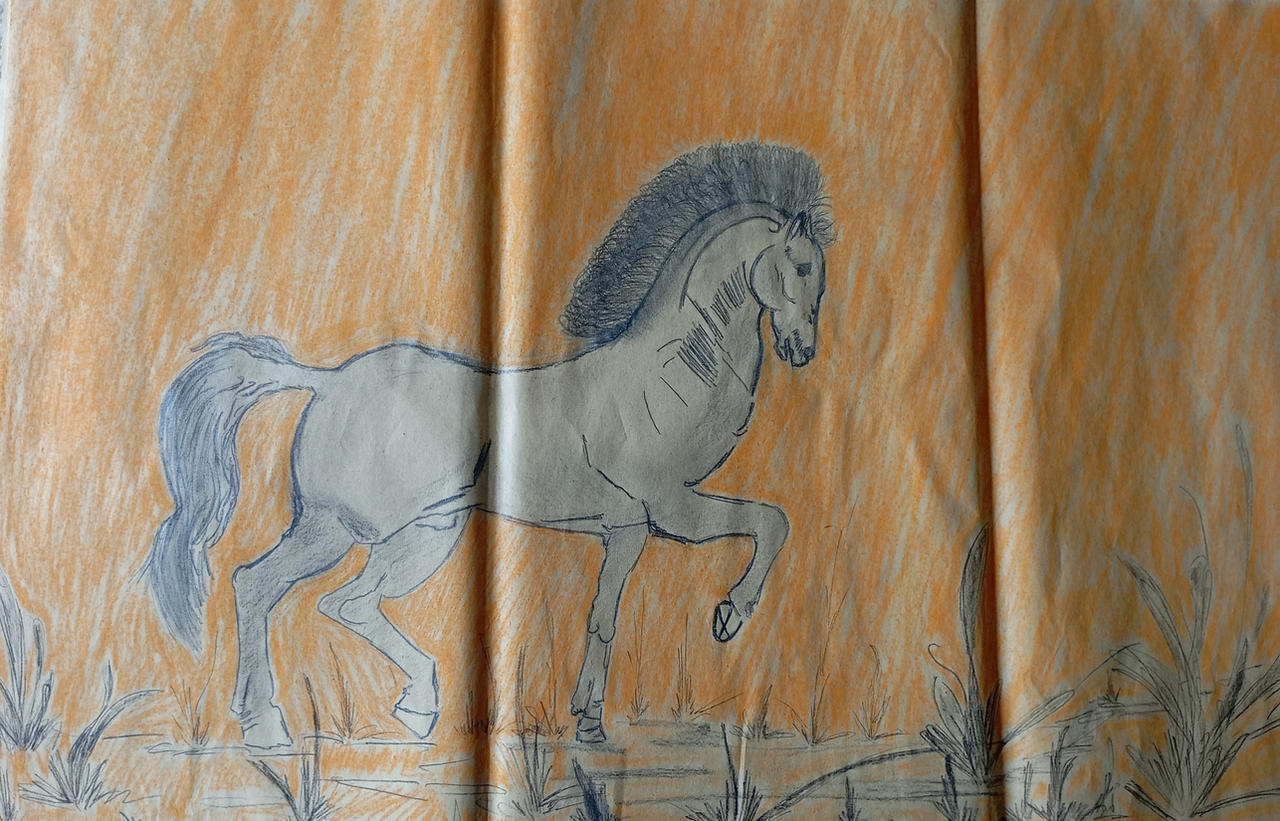 Horse
