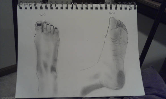 My Feet